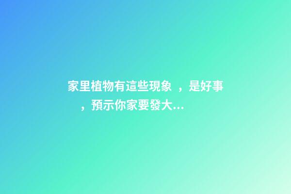 家里植物有這些現象，是好事，預示你家要發大財了！